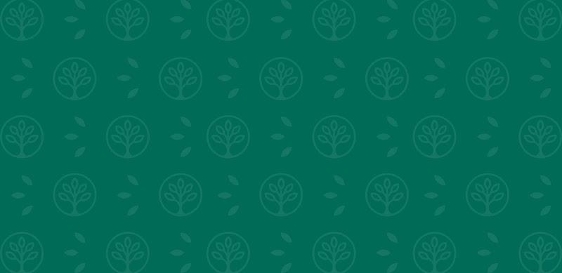 PARK TERRACE REHABILITATION CENTER nursing home in TOLEDO, OH - Photo 2 of 5