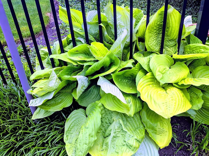 BEECHWOOD HOME FOR INCURABLES nursing home in CINCINNATI, OH - Photo 3 of 6