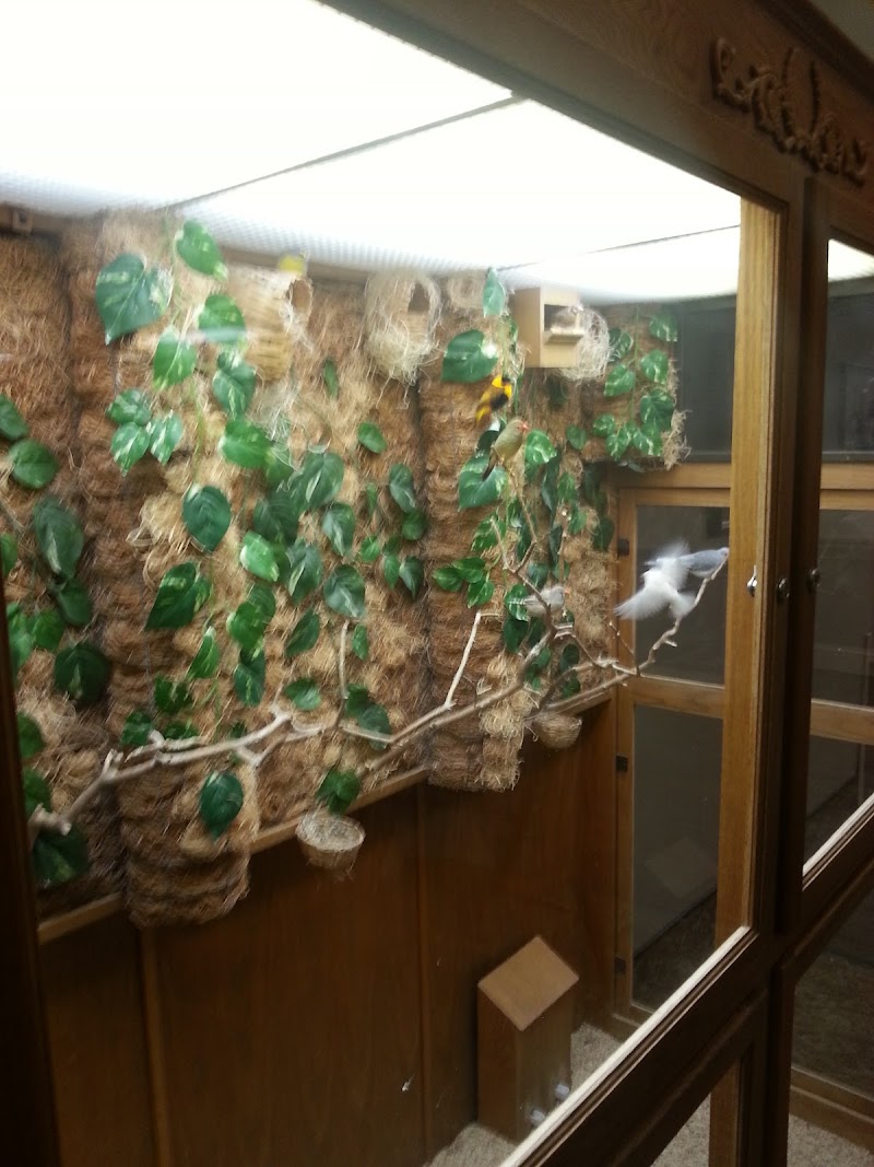 STILLWATER SKILLED NURSING AND REHABILITATION nursing home in COVINGTON, OH - Photo 5 of 5