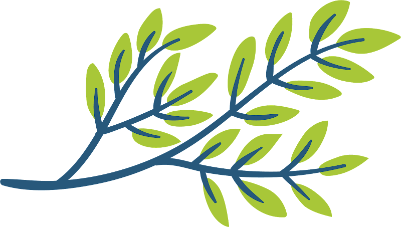 ARISTOCRAT BEREA HEALTHCARE AND REHABILITATION nursing home in BEREA, OH - Photo 3 of 5