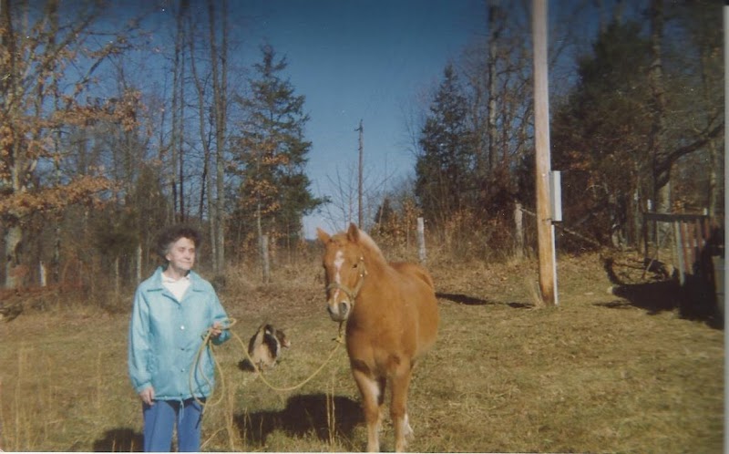 KENTON NURSING AND REHABILITATION CENTER nursing home in KENTON, OH - Photo 4 of 5