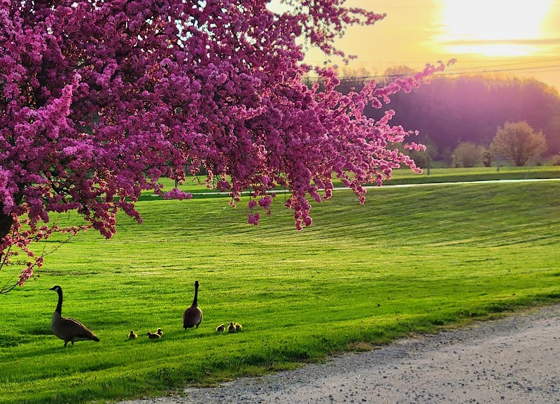 GLENDORA HEALTH CARE CENTER nursing home in WOOSTER, OH - Photo 2 of 5