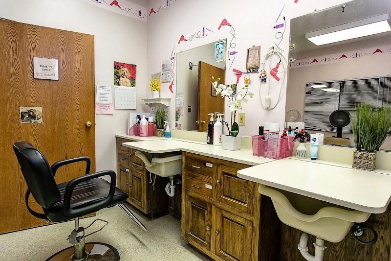 SPRING MEADOWS NURSING, A VILLA CENTER nursing home in HOLLAND, OH - Photo 5 of 5