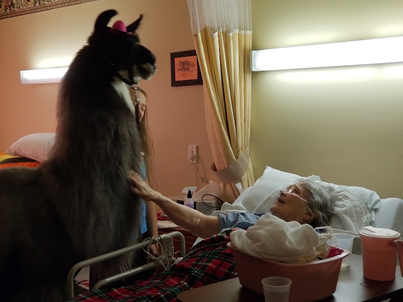 FOREST GLEN HEALTH CAMPUS nursing home in SPRINGFIELD, OH - Photo 3 of 5