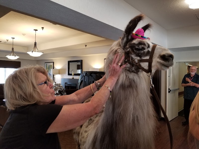 FOREST GLEN HEALTH CAMPUS nursing home in SPRINGFIELD, OH - Photo 4 of 5