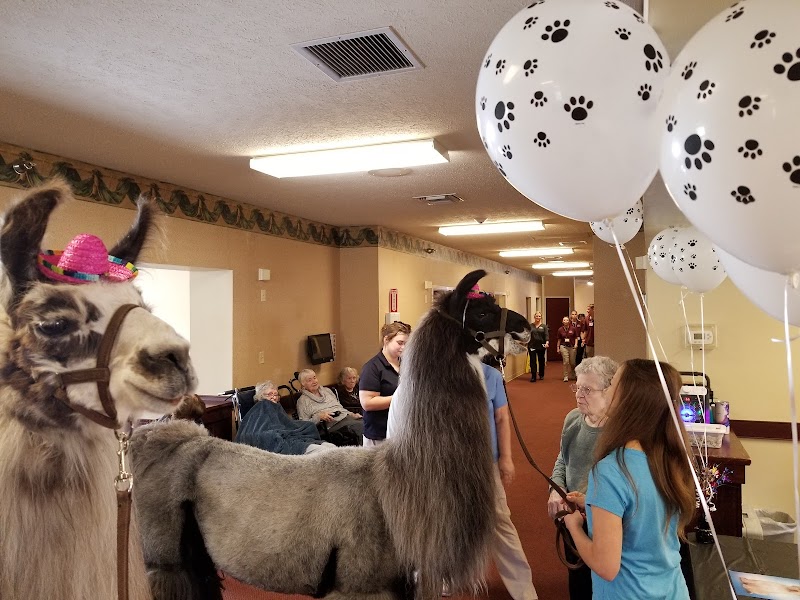 FOREST GLEN HEALTH CAMPUS nursing home in SPRINGFIELD, OH - Photo 5 of 5