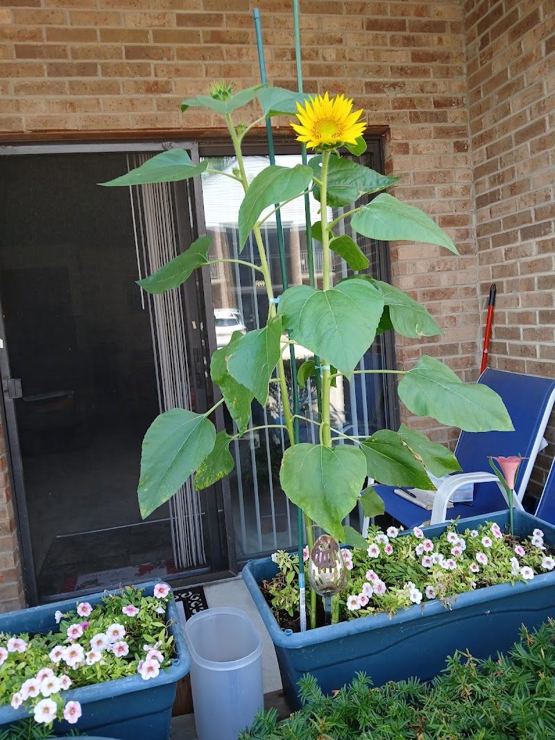 FOREST HILLS HEALTHCARE CENTER. nursing home in CINCINNATI, OH - Photo 4 of 7