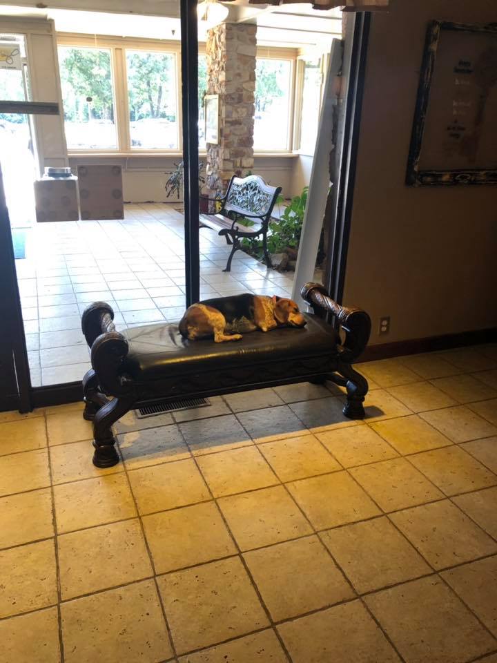 FOUR SEASONS REHABILITATION & CARE nursing home in DURANT, OK - Photo 5 of 5