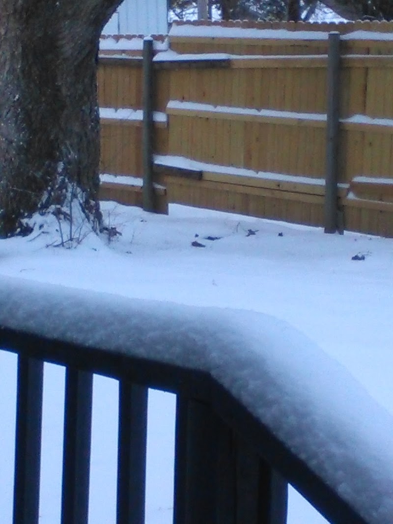 Seminole Pioneer Nursing Home nursing home in Seminole, OK - Photo 5 of 5