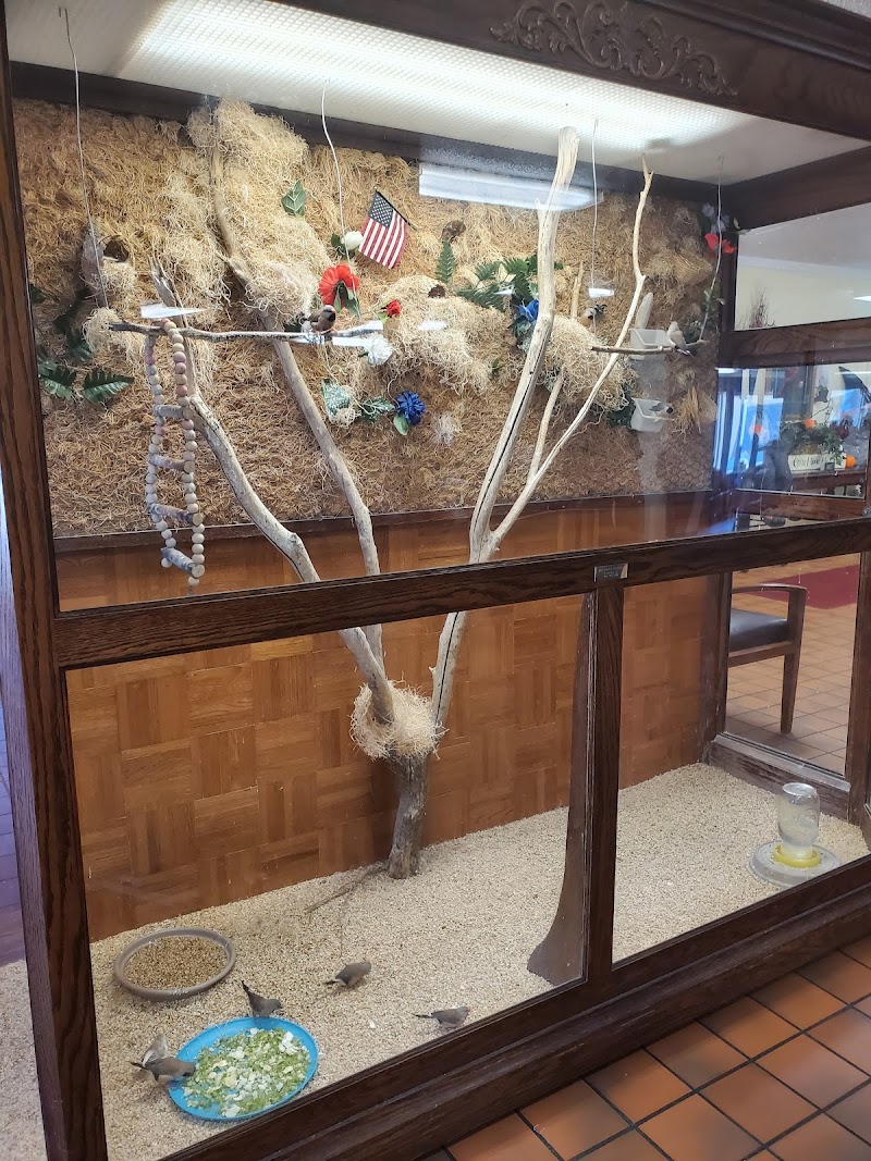 FOUNTAIN VIEW MANOR, INC nursing home in HENRYETTA, OK - Photo 2 of 3