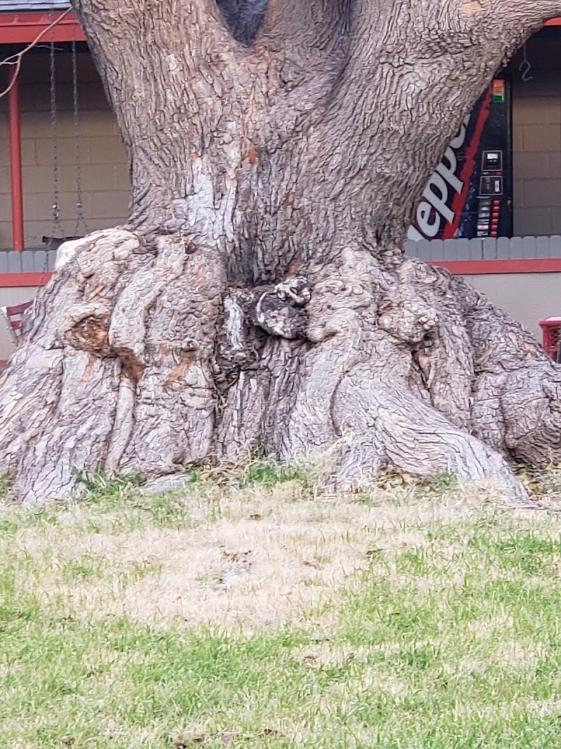 COLONIAL MANOR II nursing home in HOLLIS, OK - Photo 3 of 5