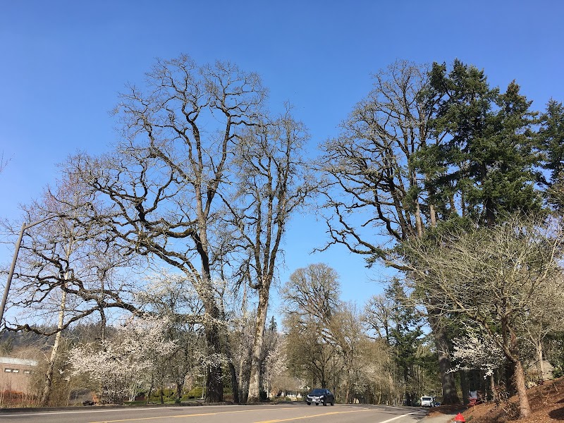 PEARL AT KRUSE WAY, THE nursing home in LAKE OSWEGO, OR - Photo 5 of 5