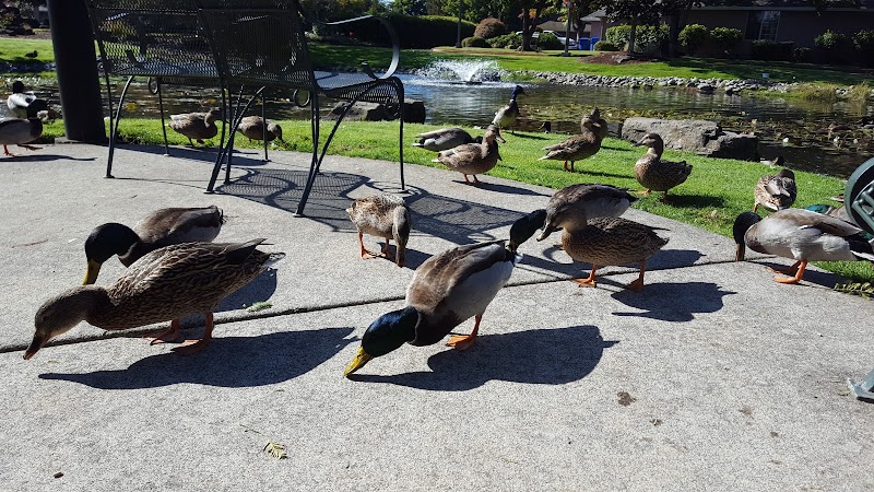 TIERRA ROSE CARE CENTER nursing home in SALEM, OR - Photo 3 of 5