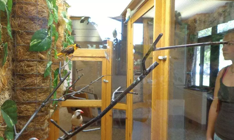 Vincentian Home nursing home in PITTSBURGH, PA - Photo 5 of 10