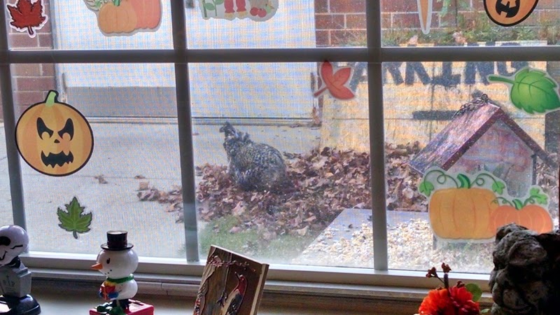 HERITAGE RIDGE SENIOR LIVING AT WINDY HILL nursing home in PHILIPSBURG, PA - Photo 4 of 5