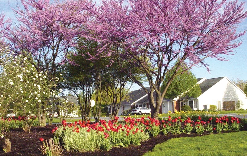CUMBERLAND CROSSINGS RETIREMENT COMMUNITY nursing home in CARLISLE, PA - Photo 3 of 10