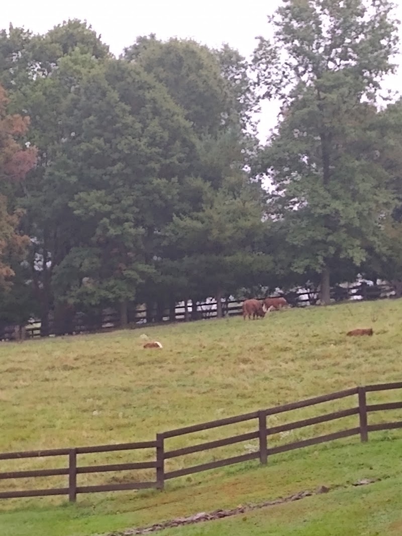 GARDENS AT ORANGEVILLE, THE nursing home in ORANGEVILLE, PA - Photo 4 of 5