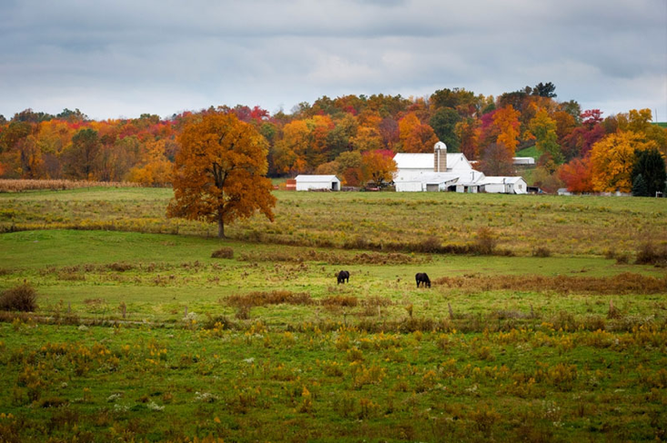 SHENANGO PRESBYTERIAN SENIORCARE nursing home in NEW WILMINGTON, PA - Photo 5 of 10