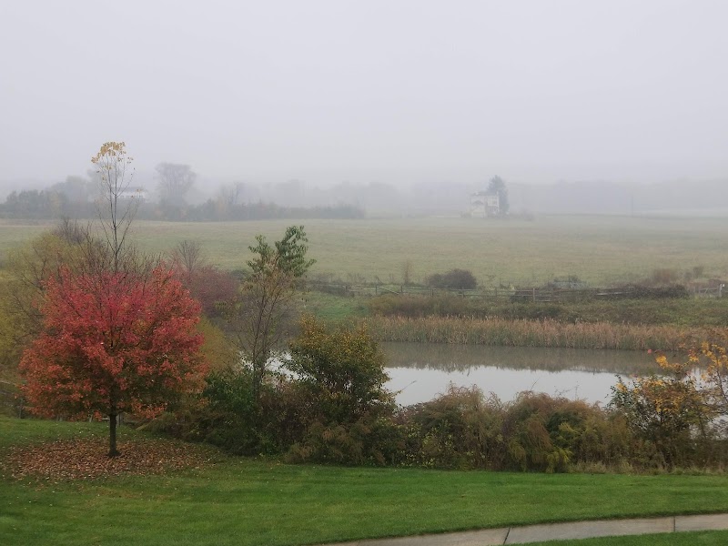 HEALTH CENTER AT THE HILL AT WHITEMARSH, THE nursing home in LAFAYETTE HILL, PA - Photo 5 of 10