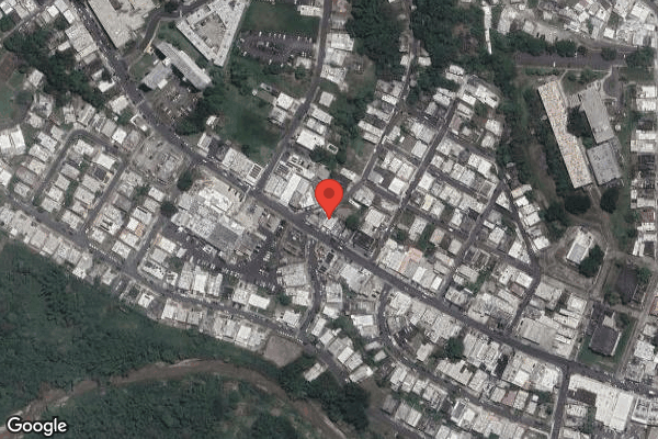 RYDER MEMORIAL HOSPITAL INC nursing home in HUMACAO, PR