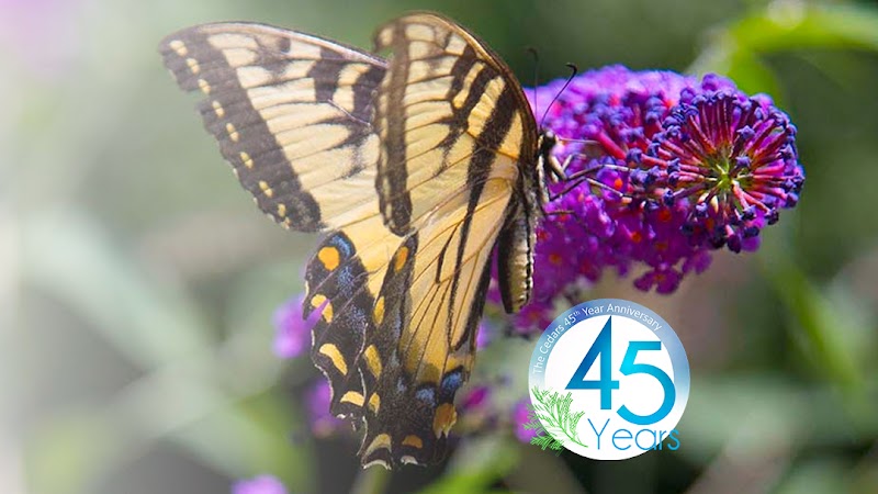 Cedar Crest Nursing Centre Inc nursing home in Cranston, RI - Photo 2 of 10