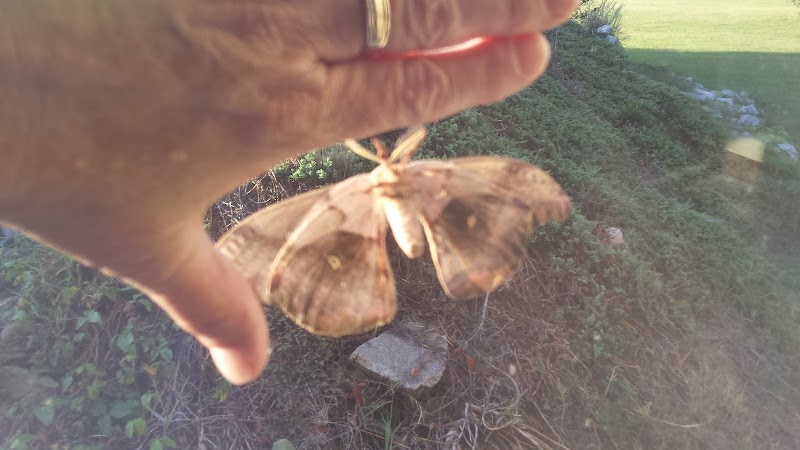 Mountainview Nursing Home nursing home in Spartanburg, SC - Photo 2 of 5
