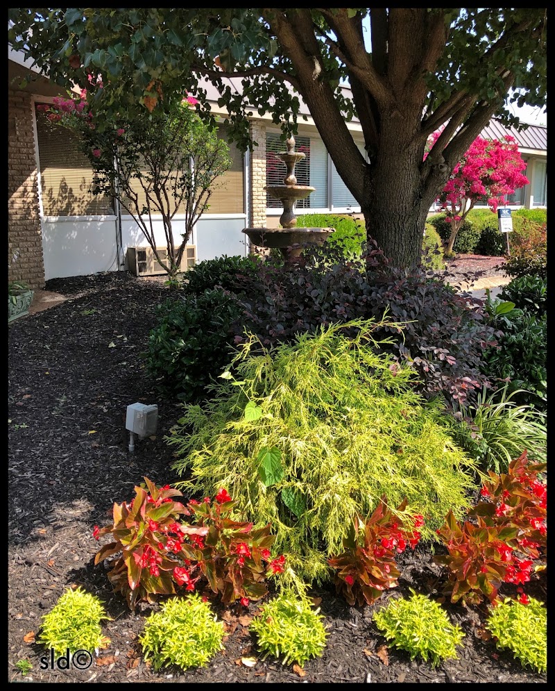 NHC HEALTHCARE, COLUMBIA nursing home in COLUMBIA, TN - Photo 3 of 6
