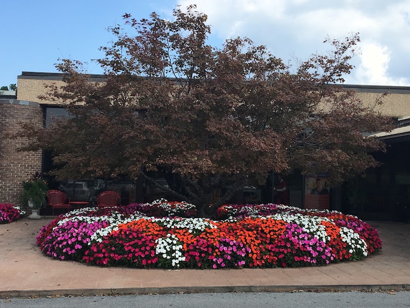 SIGNATURE HEALTHCARE OF PUTNAM COUNTY nursing home in COOKEVILLE, TN - Photo 5 of 5