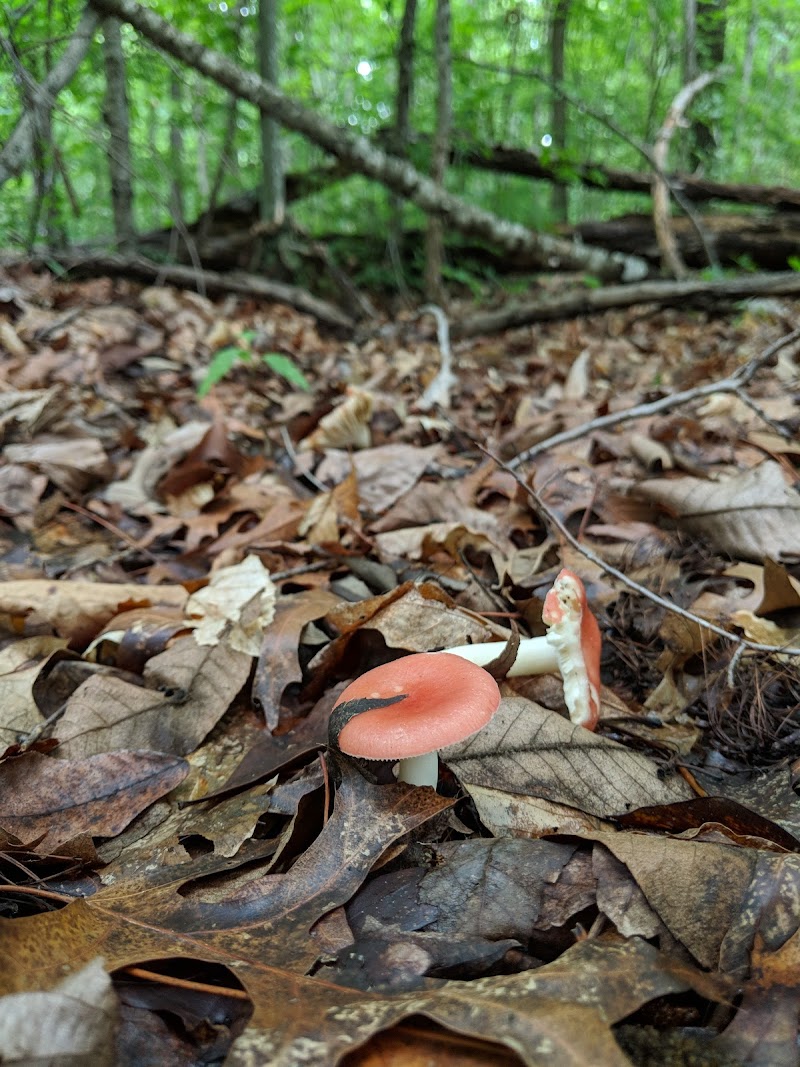 JEFFERSON COUNTY NURSING HOME nursing home in DANDRIDGE, TN - Photo 4 of 5