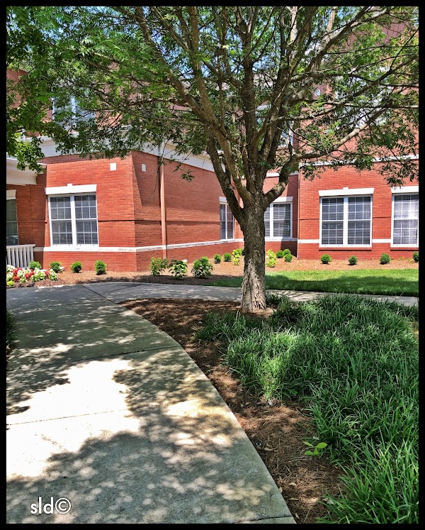 NHC PLACE AT COOL SPRINGS nursing home in FRANKLIN, TN - Photo 1 of 6