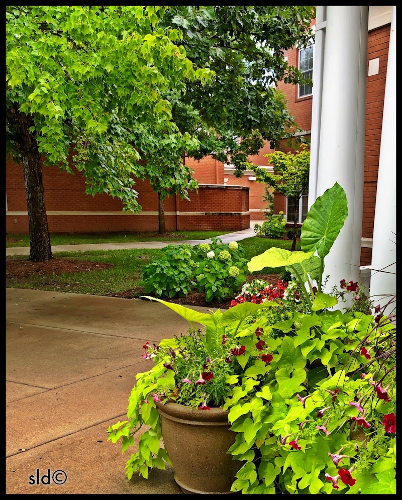 NHC PLACE AT COOL SPRINGS nursing home in FRANKLIN, TN - Photo 2 of 6