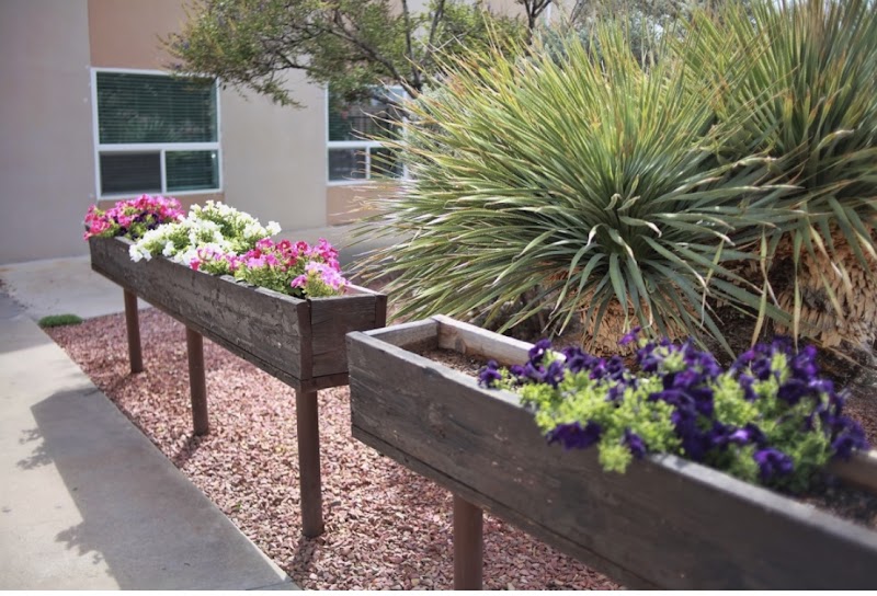 MOUNTAIN VIEW HEALTH & REHABILITATION nursing home in EL PASO, TX - Photo 3 of 5