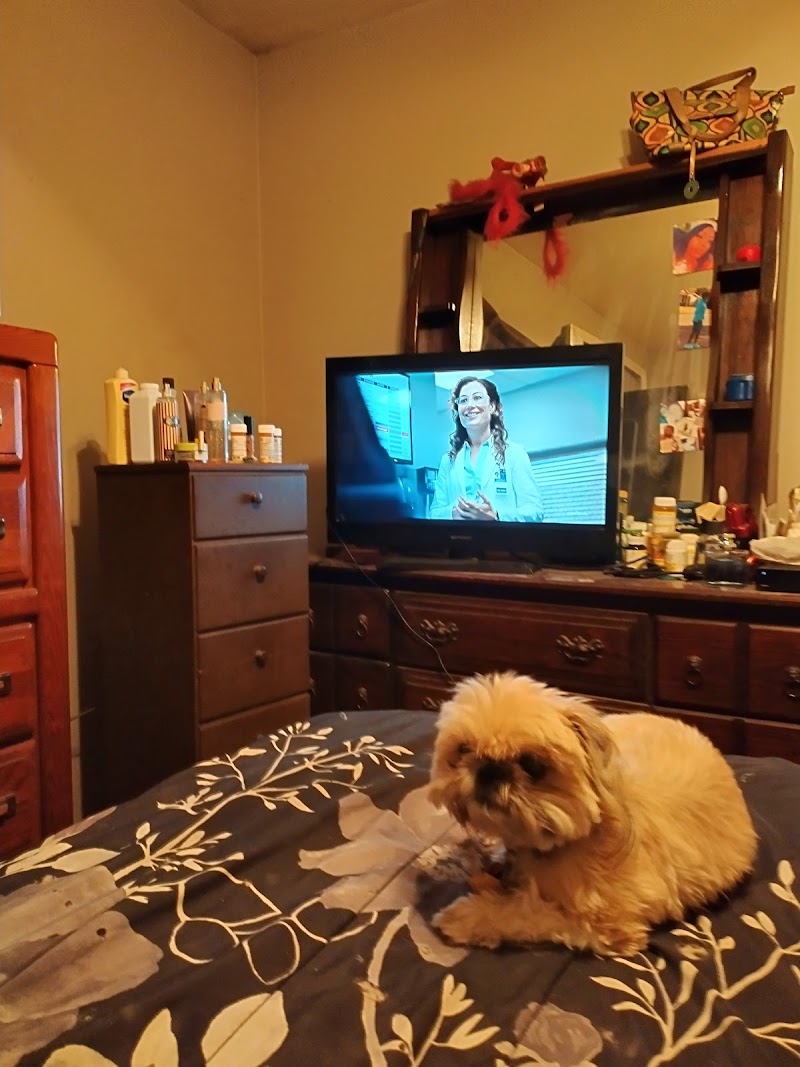 ARLINGTON RESIDENCE AND REHABILITATION CENTER nursing home in ARLINGTON, TX - Photo 2 of 4