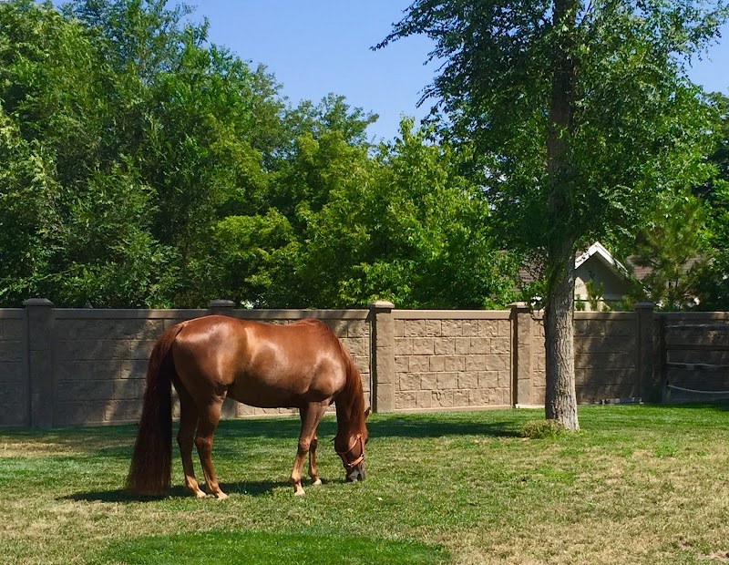 NeuroRestorative nursing home in Riverton, UT - Photo 4 of 5