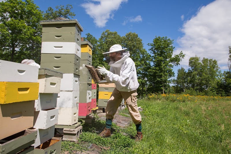 Wake Robin-Linden Nursing Home nursing home in Shelburne, VT - Photo 5 of 10