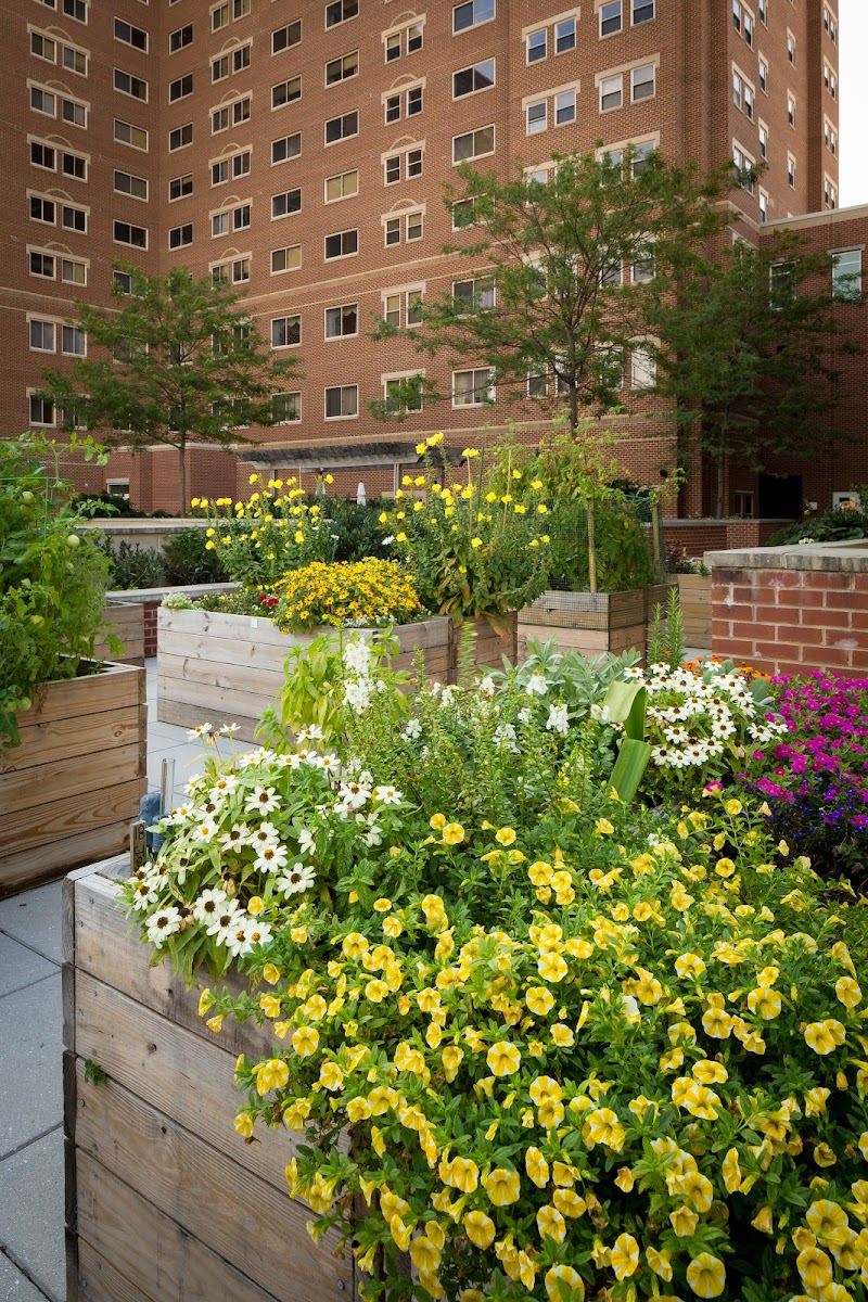 GOODWIN HOUSE BAILEY'S CROSSROADS nursing home in FALLS CHURCH, VA - Photo 5 of 10