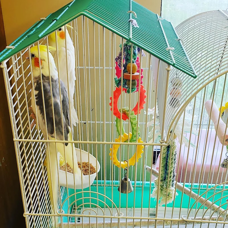 LAWRENCEVILLE HEALTH & REHABILITATION nursing home in LAWRENCEVILLE, VA - Photo 5 of 5