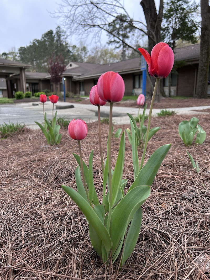 NORTHERN CARDINAL REHABILITATION AND NURSING nursing home in SUFFOLK, VA - Photo 3 of 5