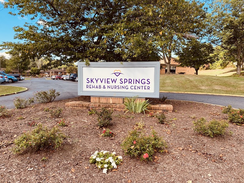 SKYVIEW SPRINGS REHAB AND NURSING CENTER nursing home in LURAY, VA - Photo 3 of 5