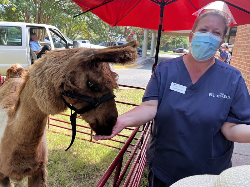THE LAURELS OF WILLOW CREEK nursing home in MIDLOTHIAN, VA - Photo 4 of 5
