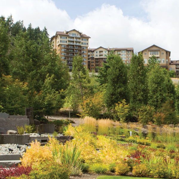 BRIARWOOD AT TIMBER RIDGE nursing home in ISSAQUAH, WA - Photo 4 of 10