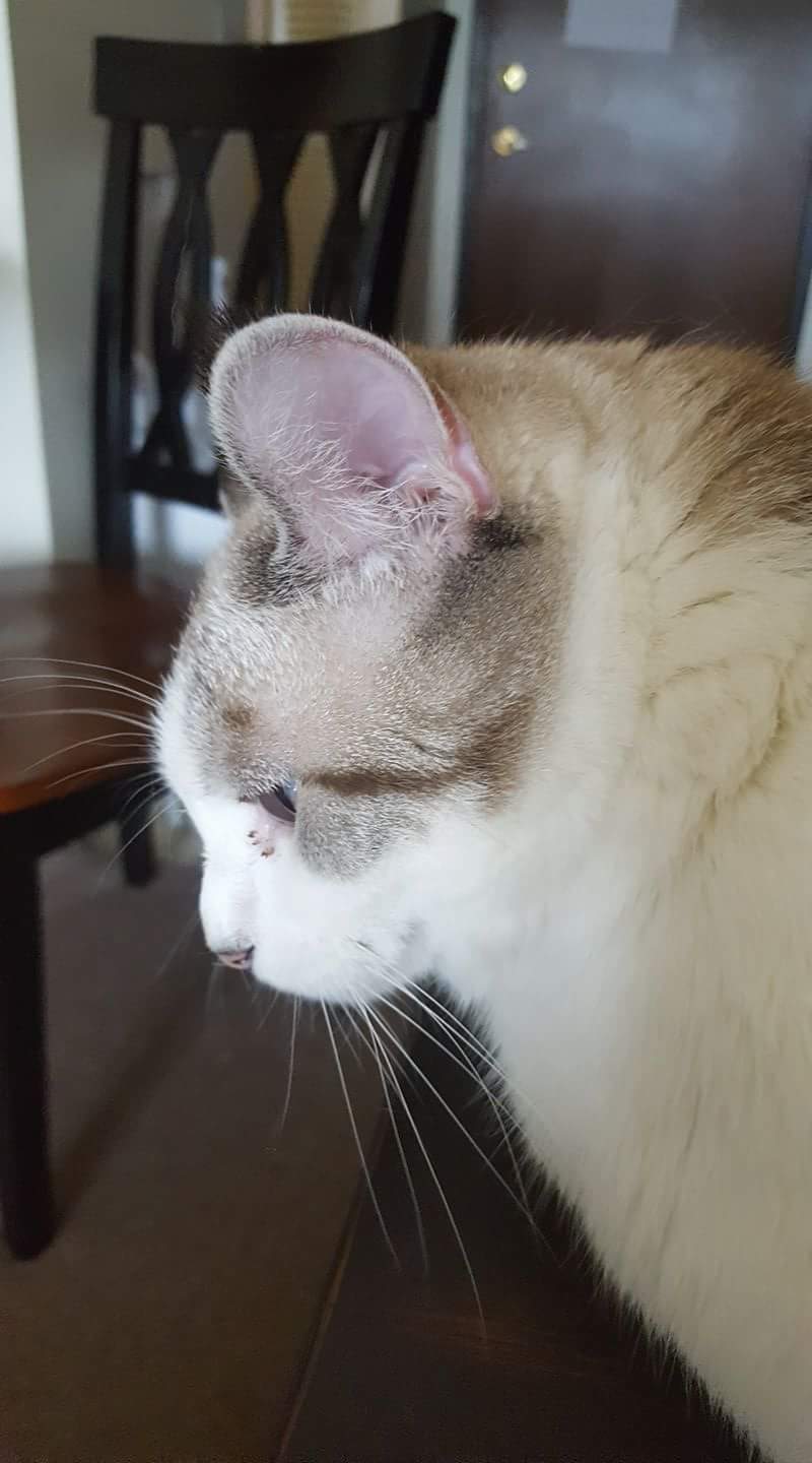 GOOD SHEPHERD NURSING HOME nursing home in WHEELING, WV - Photo 4 of 9