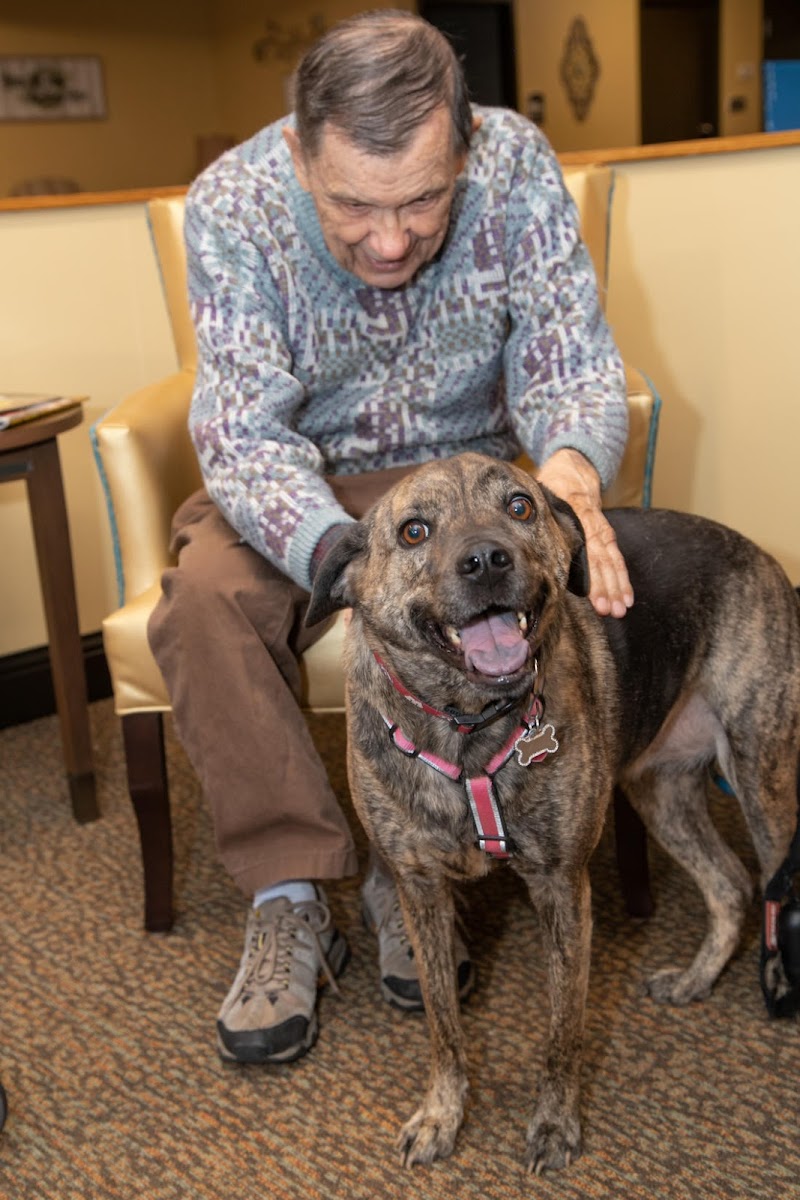 CLEMENT MANOR HEALTH CARE CENTER nursing home in GREENFIELD, WI - Photo 5 of 10