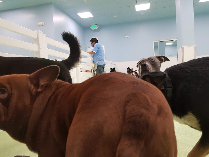 LOTUS CARE CENTER nursing home in LOS ANGELES, CA - Photo 2 of 10