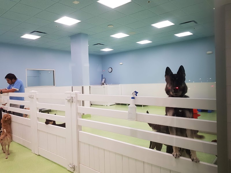 LOTUS CARE CENTER nursing home in LOS ANGELES, CA - Photo 3 of 10