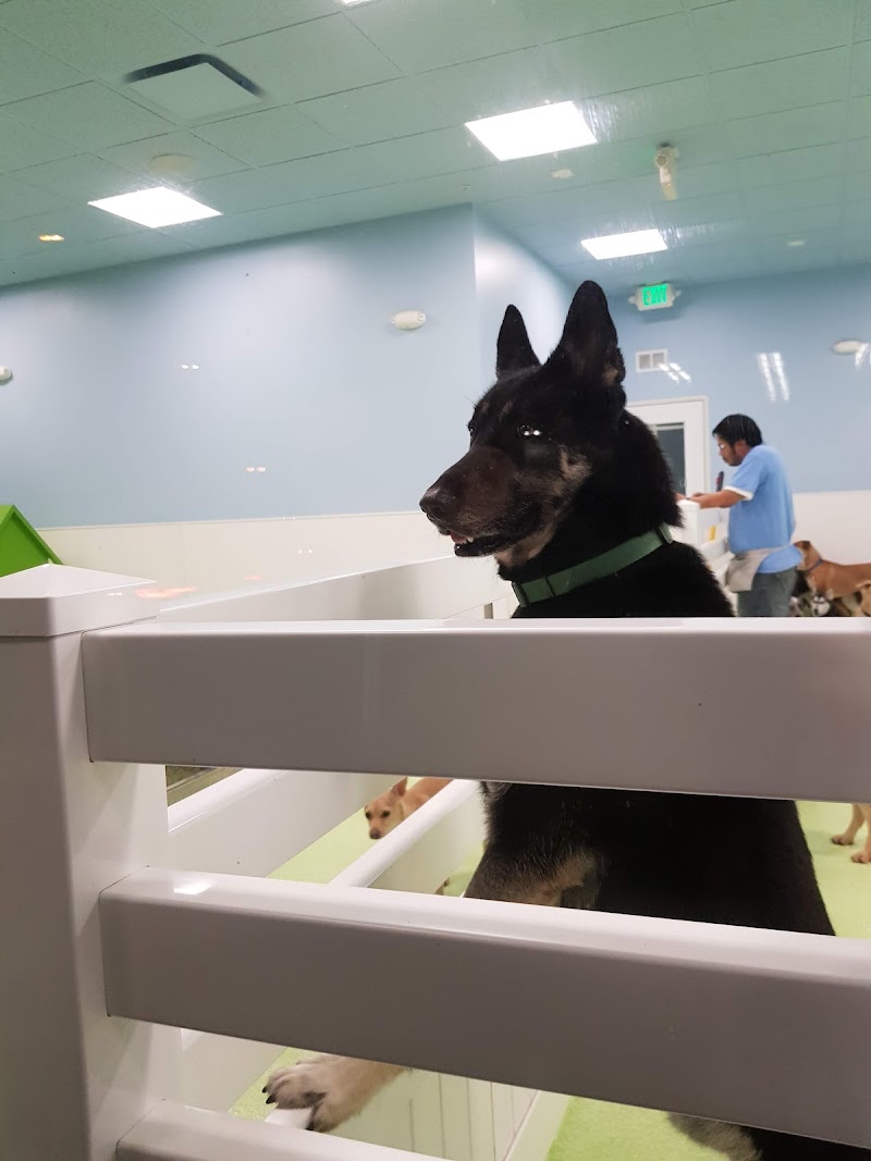 LOTUS CARE CENTER nursing home in LOS ANGELES, CA - Photo 4 of 10