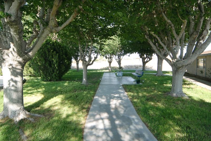 MOUNTAIN VIEW POST ACUTE nursing home in BARSTOW, CA - Photo 5 of 9