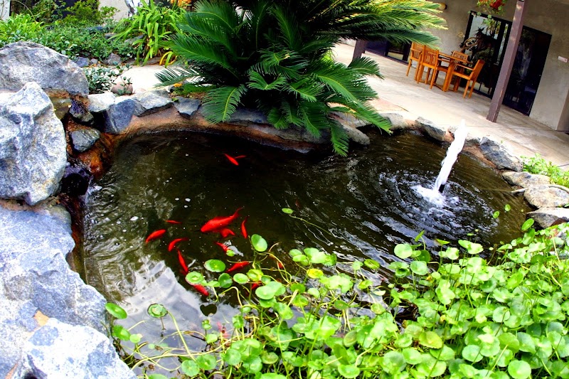 STANFORD COURT SKILLED NURSING & REHAB CENTER nursing home in SANTEE, CA - Photo 2 of 5