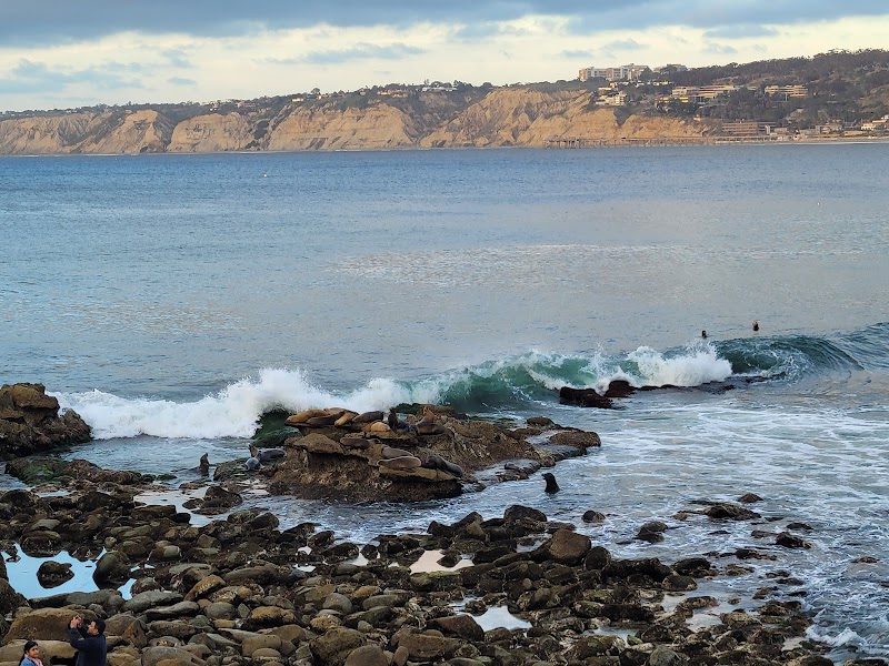 THE COVE AT LA JOLLA nursing home in LA JOLLA, CA - Photo 3 of 10