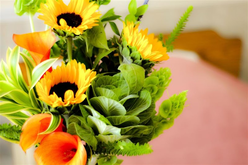 San Luis Transitional Care nursing home in San Luis Obispo, CA - Photo 2 of 10